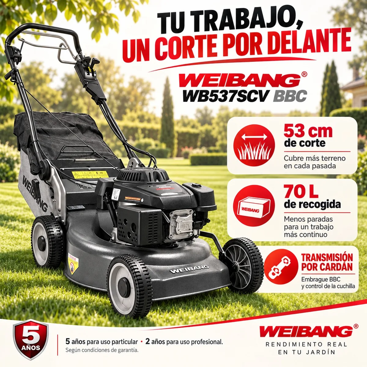 Cortacesped Gasolina Weibang WB537SCV BBC — foto 2