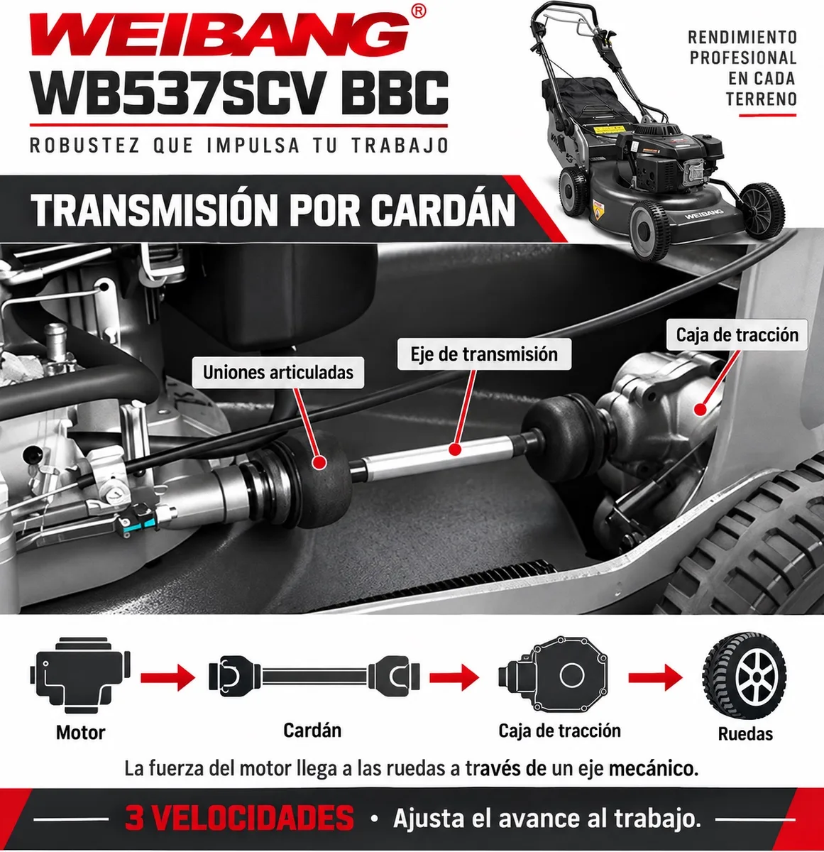 Cortacesped Gasolina Weibang WB537SCV BBC — foto 6