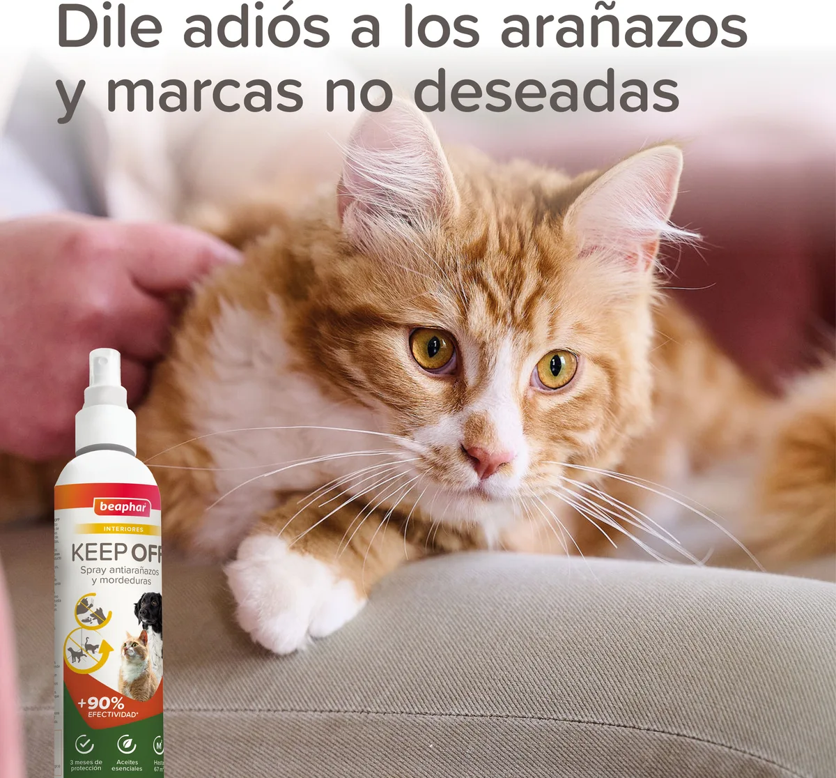 Beaphar Spray Educador Interiores Keep Off 200ml — foto 7