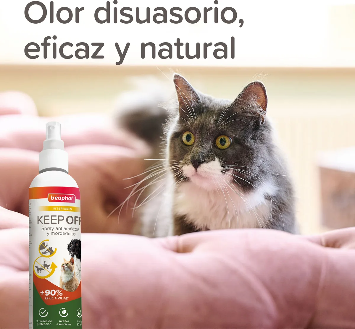 Beaphar Spray Educador Interiores Keep Off 200ml — foto 8