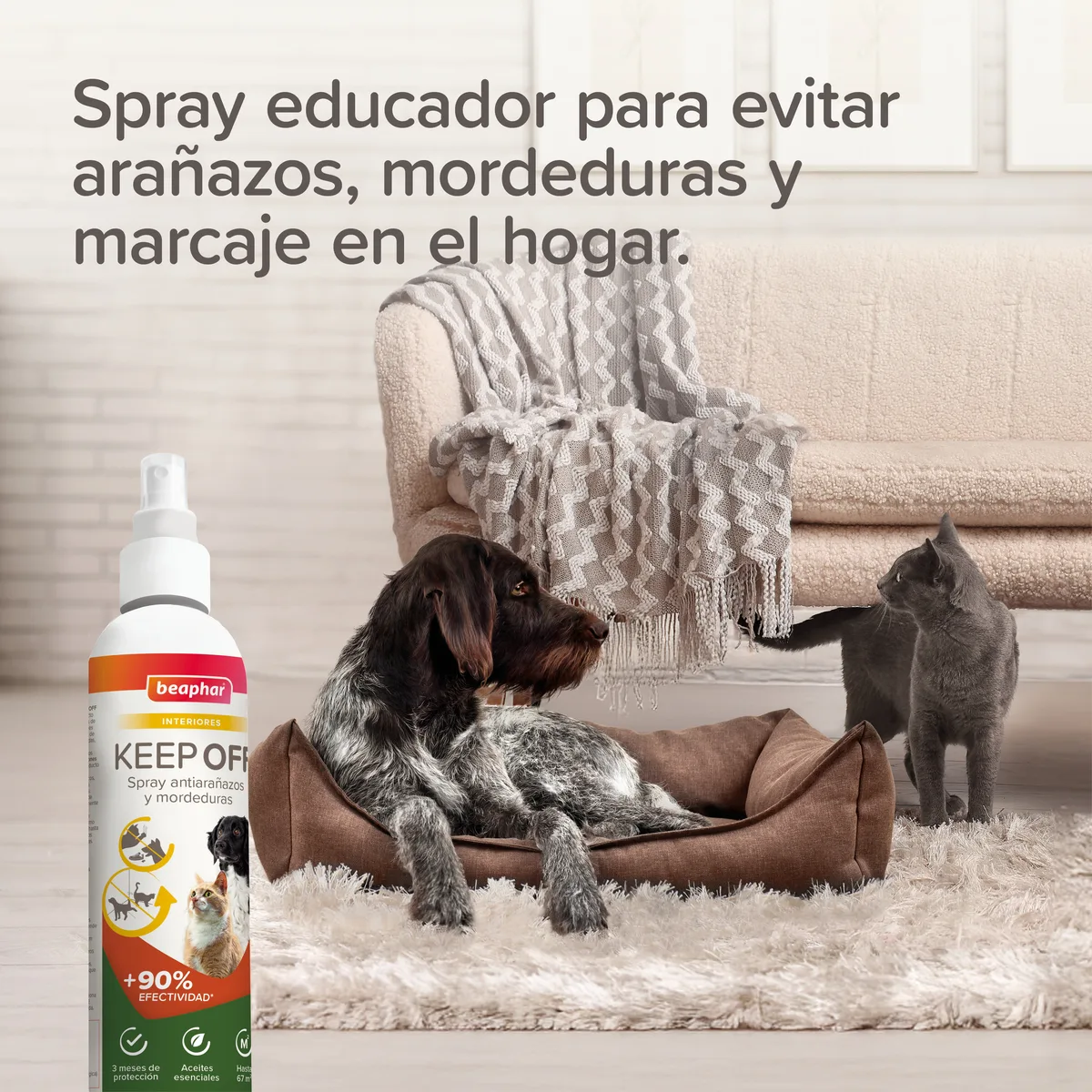 Beaphar Spray Educador Interiores Keep Off 200ml — foto 6