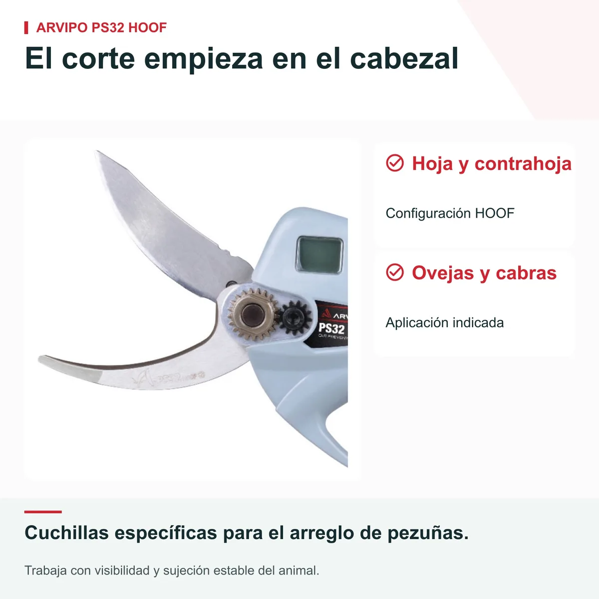 Tijera eléctrica para pezuñas Arvipo PS32 Evo2 HOOF · ovejas y cabras · 2 baterías 2,5 Ah — foto 3