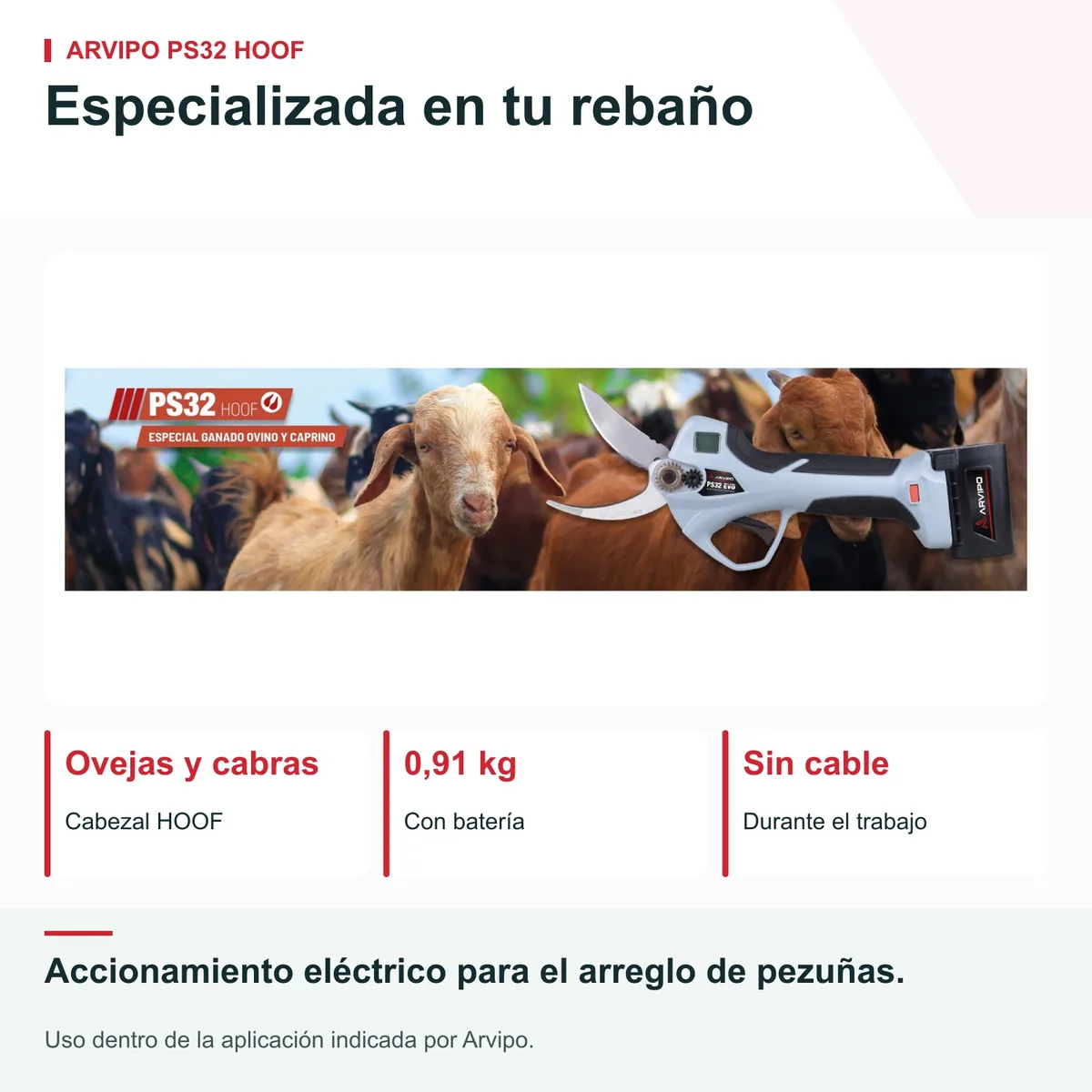 Tijera eléctrica para pezuñas Arvipo PS32 Evo2 HOOF · ovejas y cabras · 2 baterías 2,5 Ah — foto 6