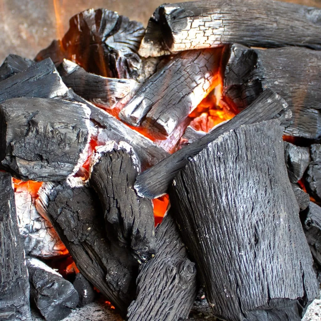 Saco de Carbon Vegetal de Encina 15 Kg — foto 2