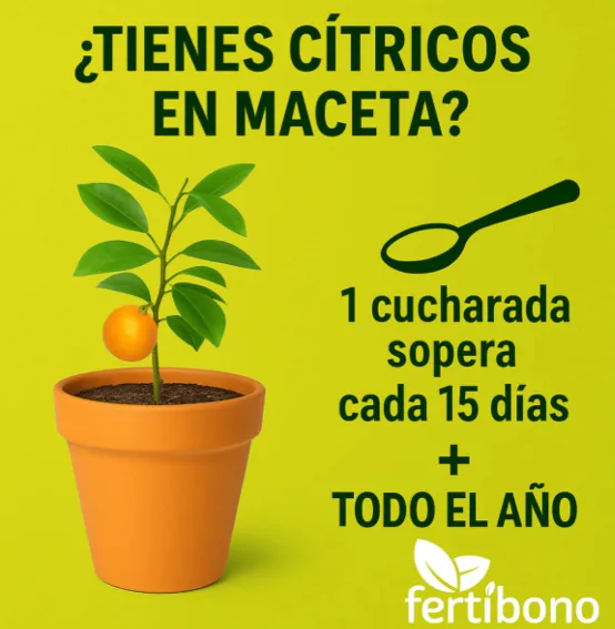 Abono Citricos Fertibono 2 Kg — foto 6