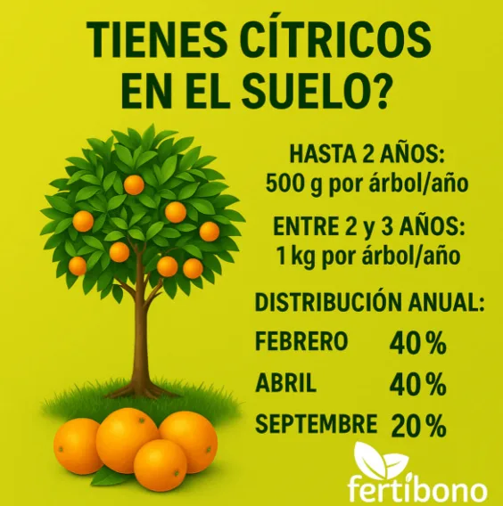 Abono Citricos Fertibono 2 Kg — foto 5