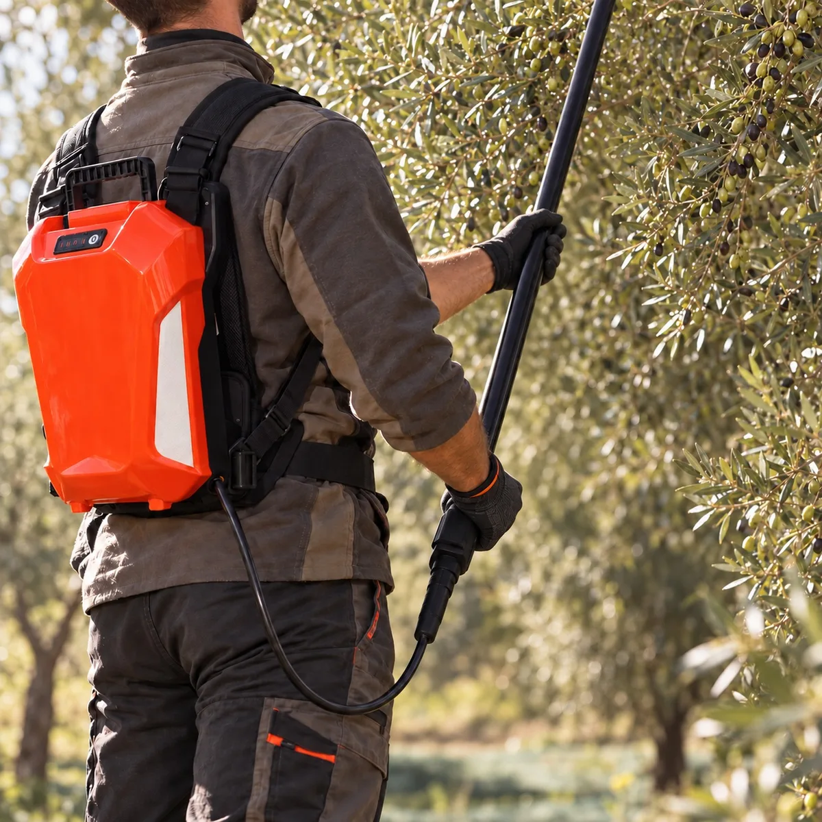 Vareadora de aceitunas Anova VAR300B · 300 W · batería mochila 20 V y pértiga de 2,4 a 3,2 m — foto 4