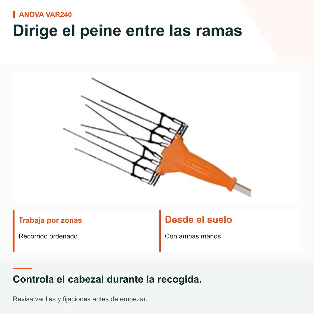 Vareadora de aceitunas Anova VAR240 · 240 W · telescópica de 2,25 a 3,05 m · cable de 15 m — foto 5