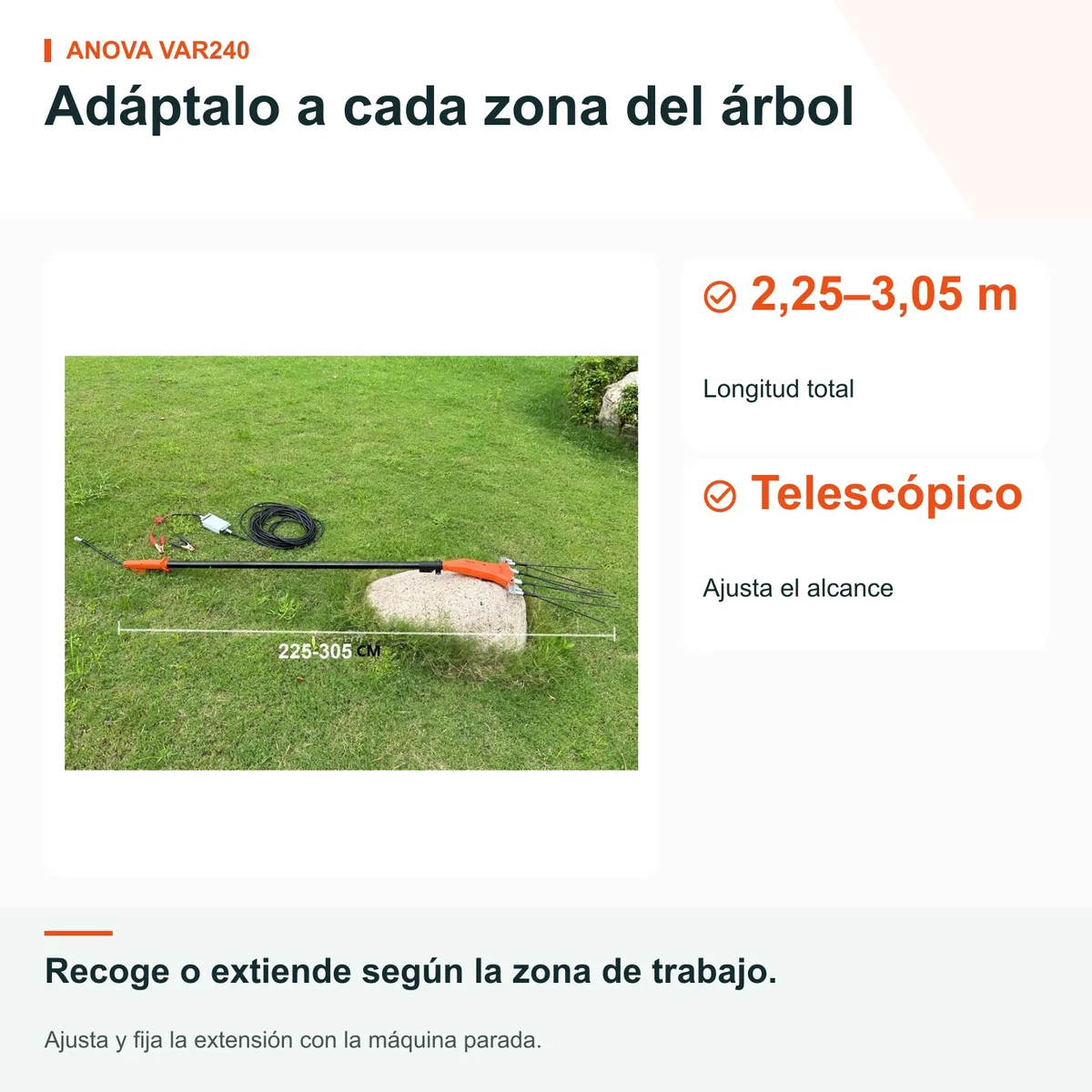 Vareadora de aceitunas Anova VAR240 · 240 W · telescópica de 2,25 a 3,05 m · cable de 15 m — foto 4