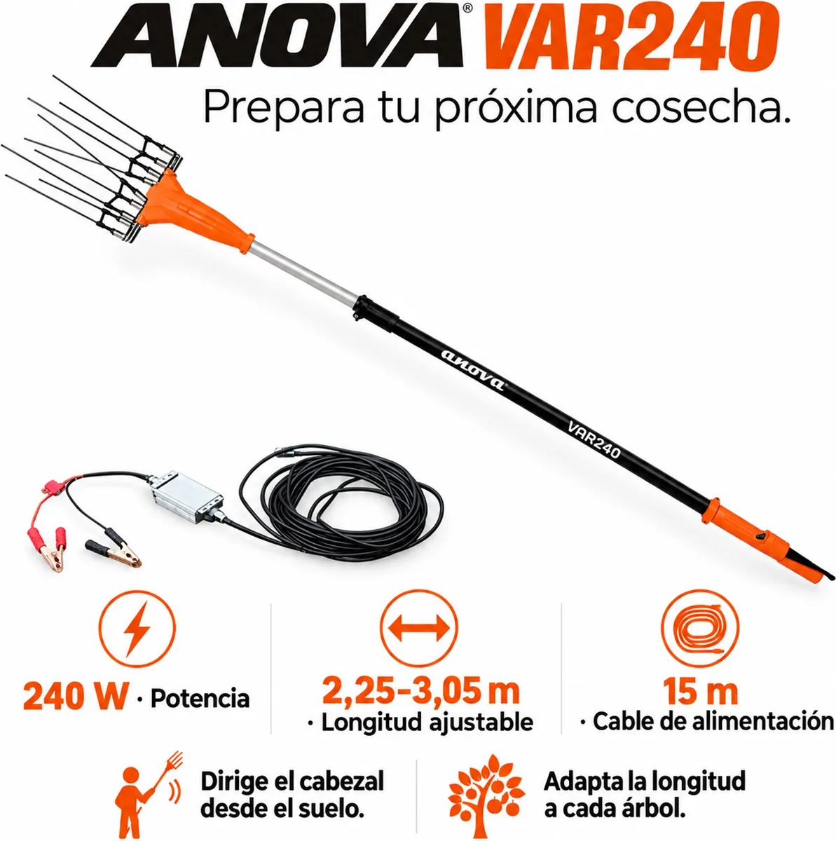 Vareadora de aceitunas Anova VAR240 · 240 W · telescópica de 2,25 a 3,05 m · cable de 15 m — foto 2