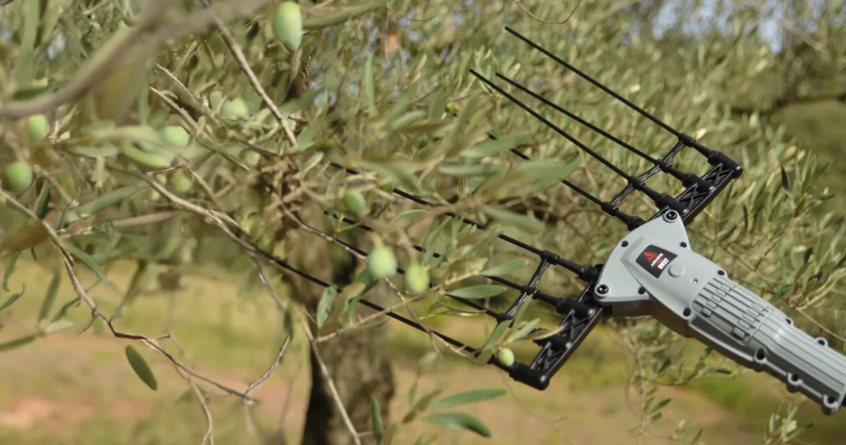 Vareador de aceitunas Arvipo OV37-M telescópico de 1,80 a 2,70 m · 3 baterías 5 Ah y cargador — foto 3