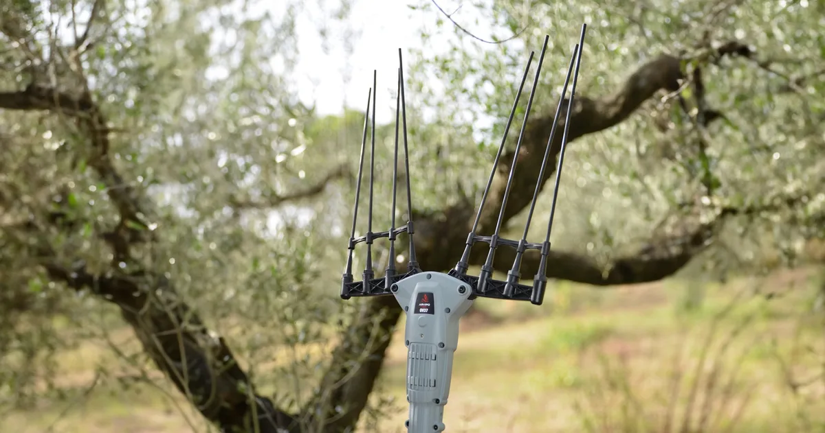 Vareador de aceitunas Arvipo OV37-M telescópico de 1,80 a 2,70 m · 3 baterías 5 Ah y cargador — foto 6