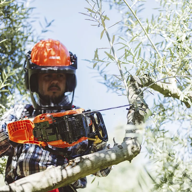 Motosierra Echo CS 2511 WESC 0.043" Carving 2 manos — foto 6
