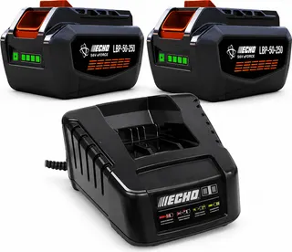 Pack 2 baterías ECHO eFORCE 56 V 4,5 Ah LBP-56V250 + cargador rápido LCJQ-560