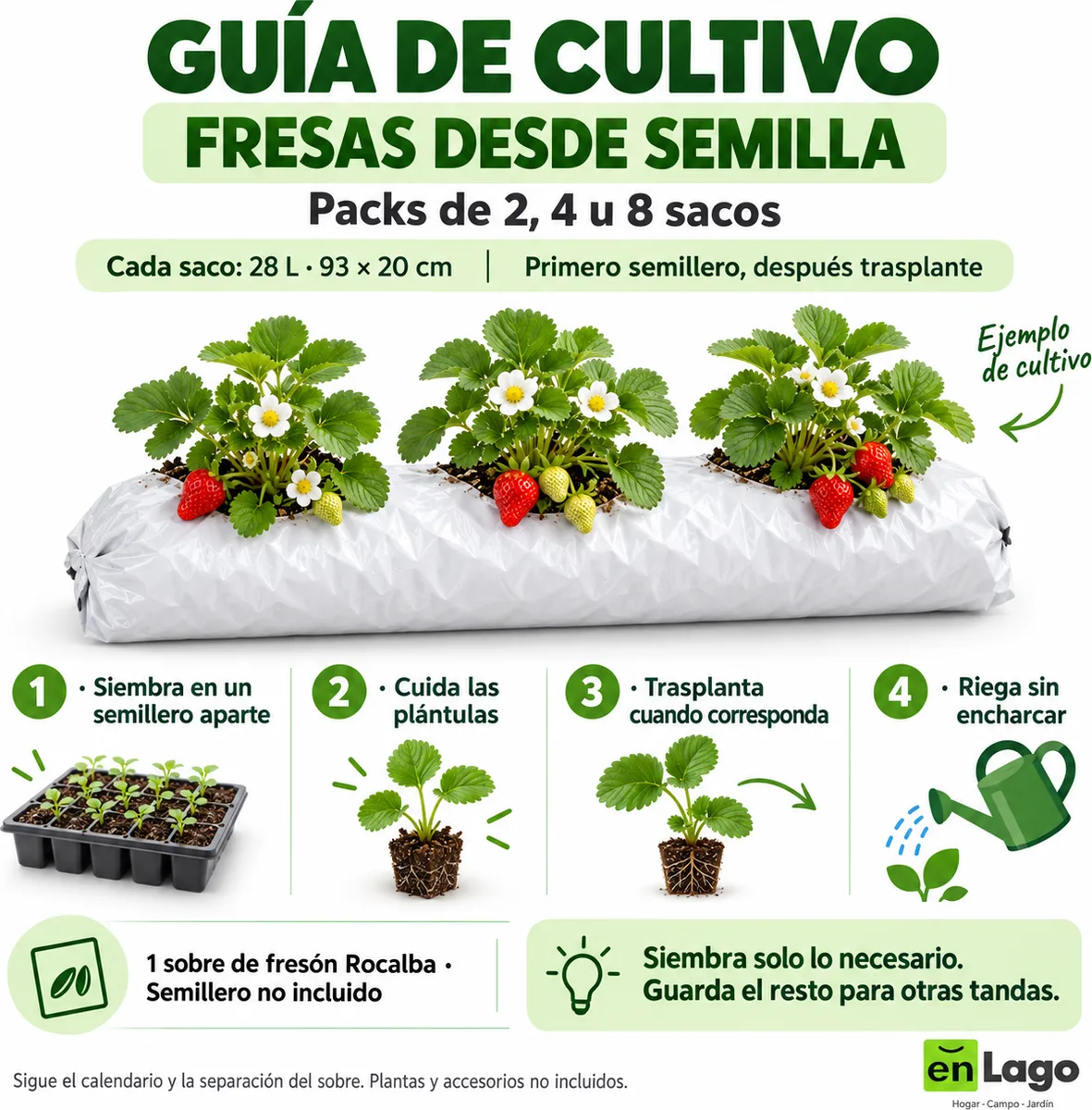 Pack huerto escolar con fresas para huerto urbano: 2 sacos + 2 sobres Rocalba — foto 4