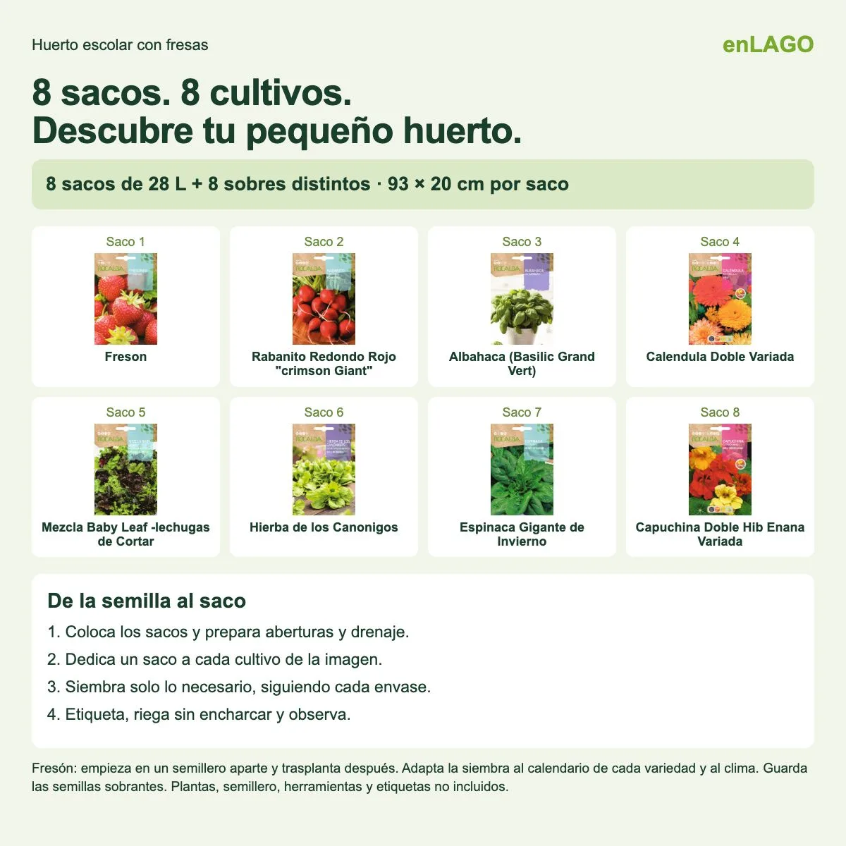 Pack huerto escolar con fresas para huerto urbano: 8 sacos + 8 sobres Rocalba — foto 3
