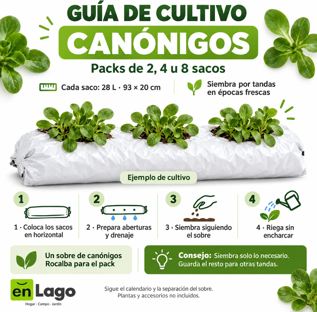 Pack hojas con canónigos: 2 sacos + 2 sobres | Gama de 2, 4 y 8 — foto 3