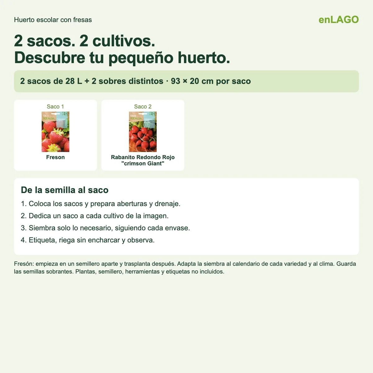 Pack huerto escolar con fresas: 2 sacos + 2 sobres | Gama de 2, 4 y 8 — foto 2