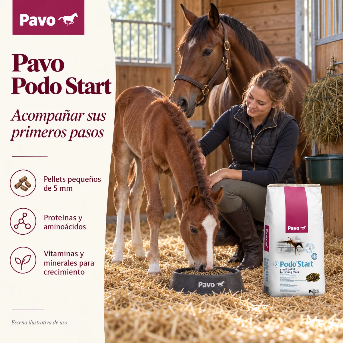 Pavo Podo Start - Pienso para potros jóvenes 20 kg — foto 2