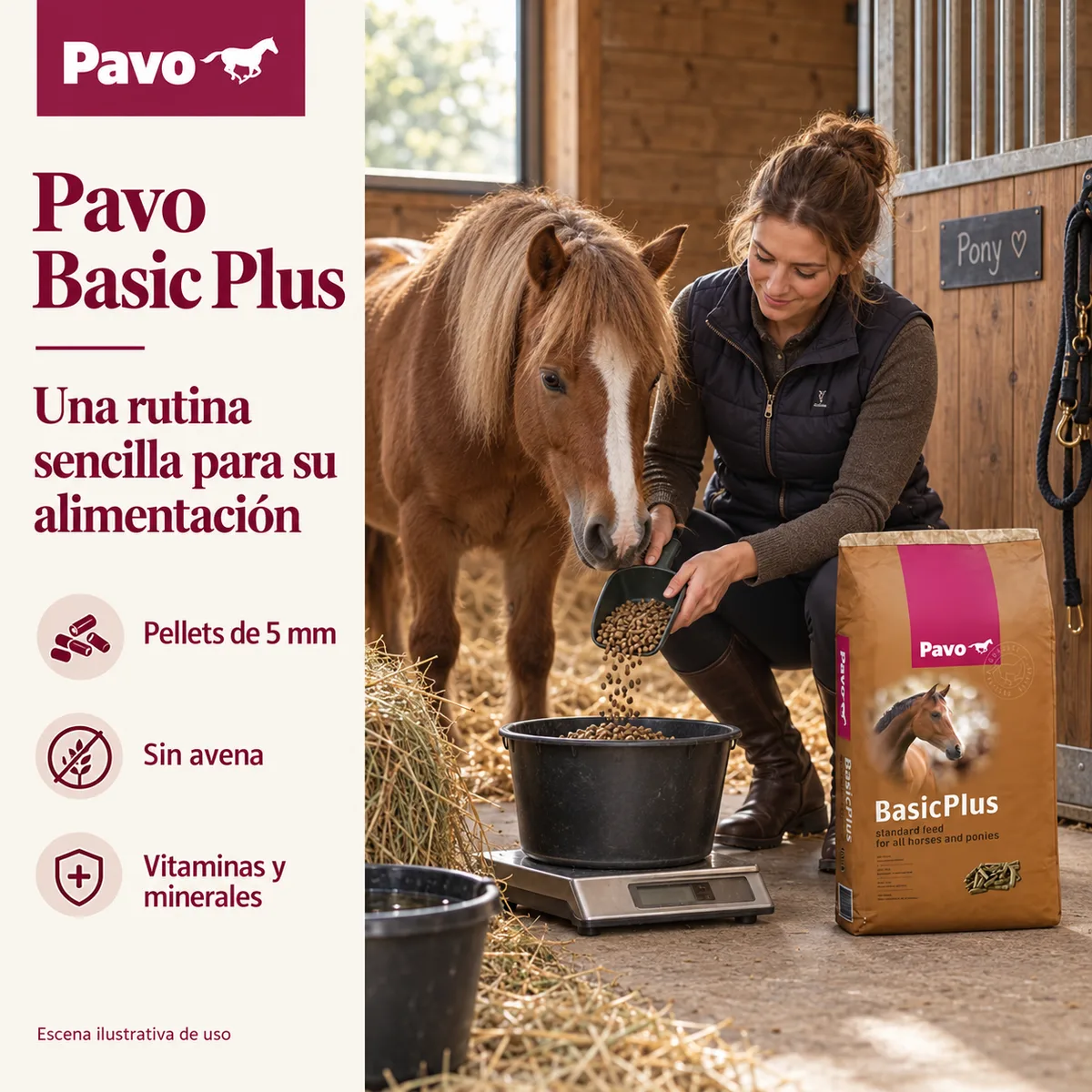 Pavo Basic Plus - Pellets de mantenimiento para caballos 20 kg — foto 2