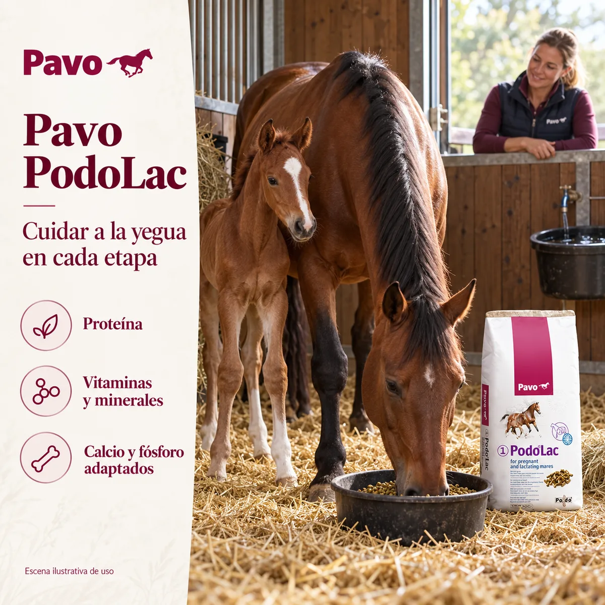 Pavo PodoLac - Pellets para yeguas gestantes y lactantes 20 kg — foto 2