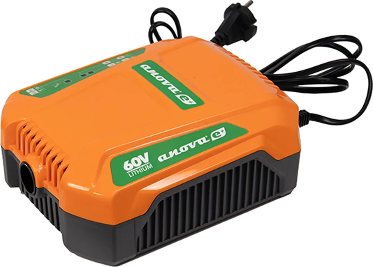 Cargador Anova E60CH80B 60 V · 8 A para baterías mochila — foto principal
