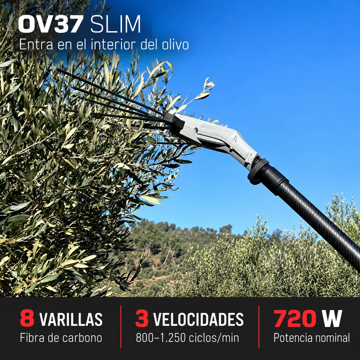 Pack vareador de aceitunas a batería Arvipo OV37-SLIM + mochila BP37 30 Ah y cargador — foto 2
